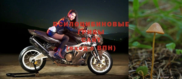 а пвп мука Баксан