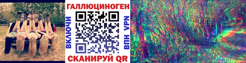 даркнет сайт  Торжок  Галлюциногенные грибы Cubensis 